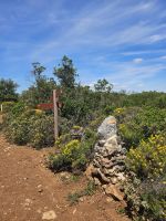 Naturschutzgebiet Rocha da Pena (3)