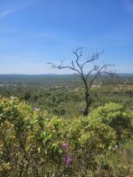 Naturschutzgebiet Rocha da Pena (1)