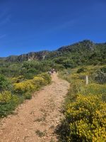  Beginn der Wanderung im Naturschutzgebiet Rocha da Pena