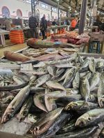 Markthalle in Loulé  (2)