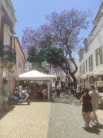 Lagos Kirche und FuZo 