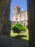 Grünanlage Kreuzgang 