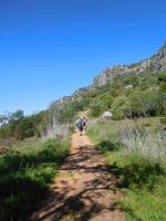 236 Rocha da Pena