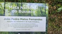 Naturpark Bussaco.jpg