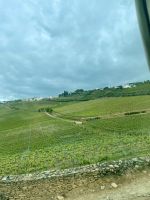Fahrt ins Douro Tal