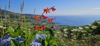Insel Faial, Blick zur Ostküste