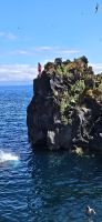 Insel Pico, Sao Roque, mutige Springer am Vogelfelsen