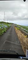 Insel Terceira, Fahrt auf die Serra do Cume