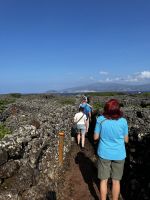 Wanderung durch die Weinfelder