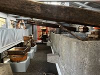 Historische Weinpresse auf Pico