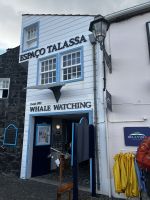 Start zur Walbeobachtung