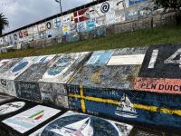 Seglermalerein in Horta