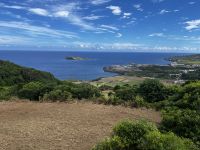 Blick über Küste von Graciosa