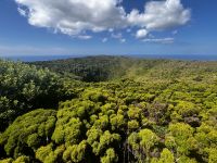 Krater von Pero Bothelo