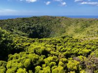 Krater von Pero Bothelo