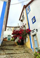 Die Bougainville blüht herrlich in Obidos