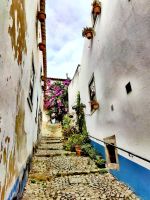 Romantische Gasse in Obidos