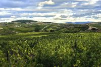 Abendstimmung auf der Enoteca Avessada
