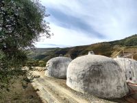 Noch ein paar alte Ginas