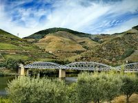 Brücke über den Douro in Pinhao