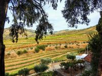 Der Ausblick von der Quinta ist atemberaubend 