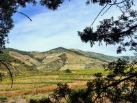 Blick auf die Region Pinhao