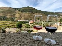 Wir probieren einen Tawny und einen Ruby