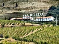 Quinta da Roeda, hier haben wir Portwein verkostet, Pinhao