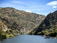 Hinter Pinhao wird der Douro eng und die Vegetation ändert sich