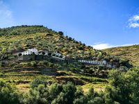 Eine einsame Quinta im Douro Tal auf dem Weg nach Vega de Terron