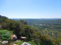 239 Rocha da Pena
