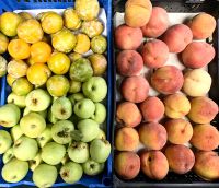 Und Äpfel, Marillen und Pfirsiche