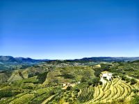 Landschaft bei Regua