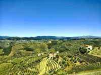 Wein über Wein im Dourotal bei Regua