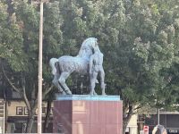 ...Impressionen in Porto (3)