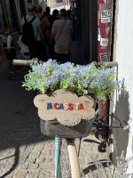 ...Stadtwanderung Porto (1)