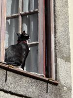 ...Stadtwanderung Porto (6)