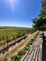 Portugal - Douro-Tal