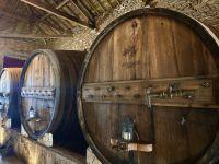 Portugal - Douro-Tal