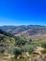 Portugal - Douro-Tal