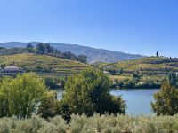 Portugal - Douro-Tal