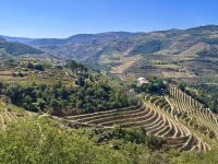 Portugal - Douro-Tal