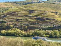 Portugal - Douro-Tal