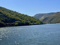 Portugal - Douro-Tal