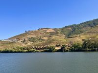 Portugal - Douro-Tal