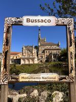 Portugal - Park von Bussaco