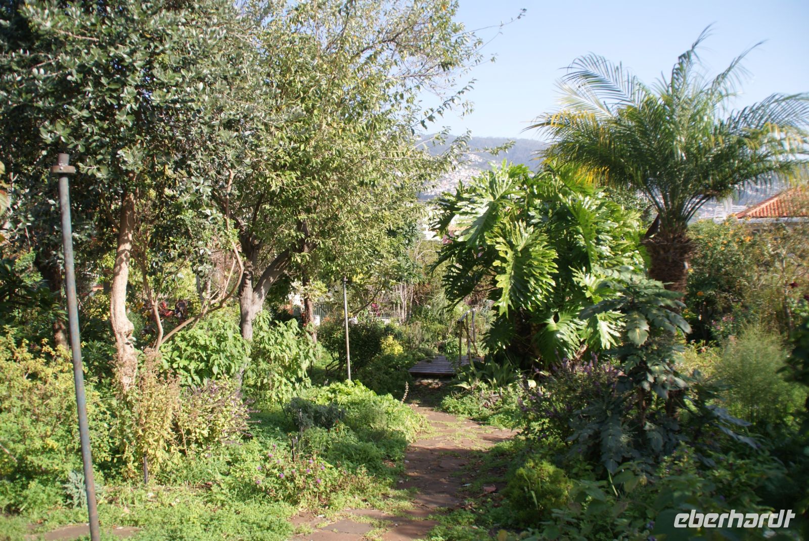 24 Kräutergarten