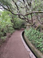 Tag 2 Blick auf Baumheide entlang der Levada 25 Quellen 