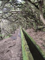 Tag 2 Baumheide über der Levada 25 Quellen 