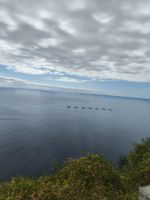 Tag 2 Blick auf Fischzucht an der Bucht von Calheta 